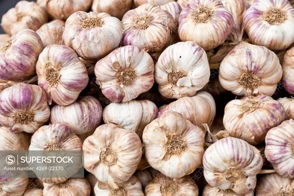 Clove of garlic.