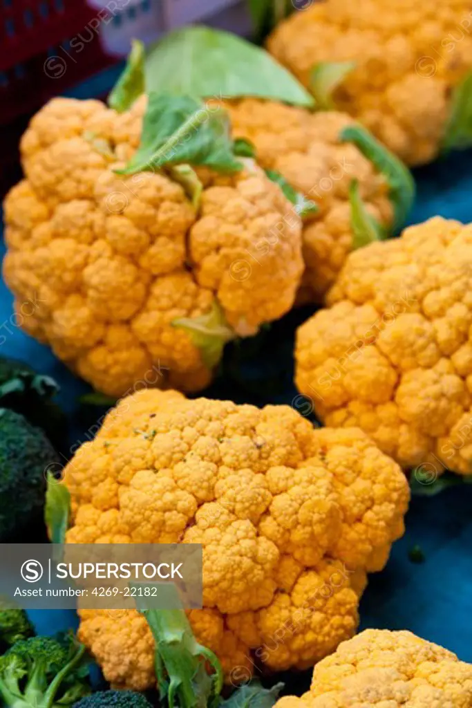 Old variety of cauliflower color orange.