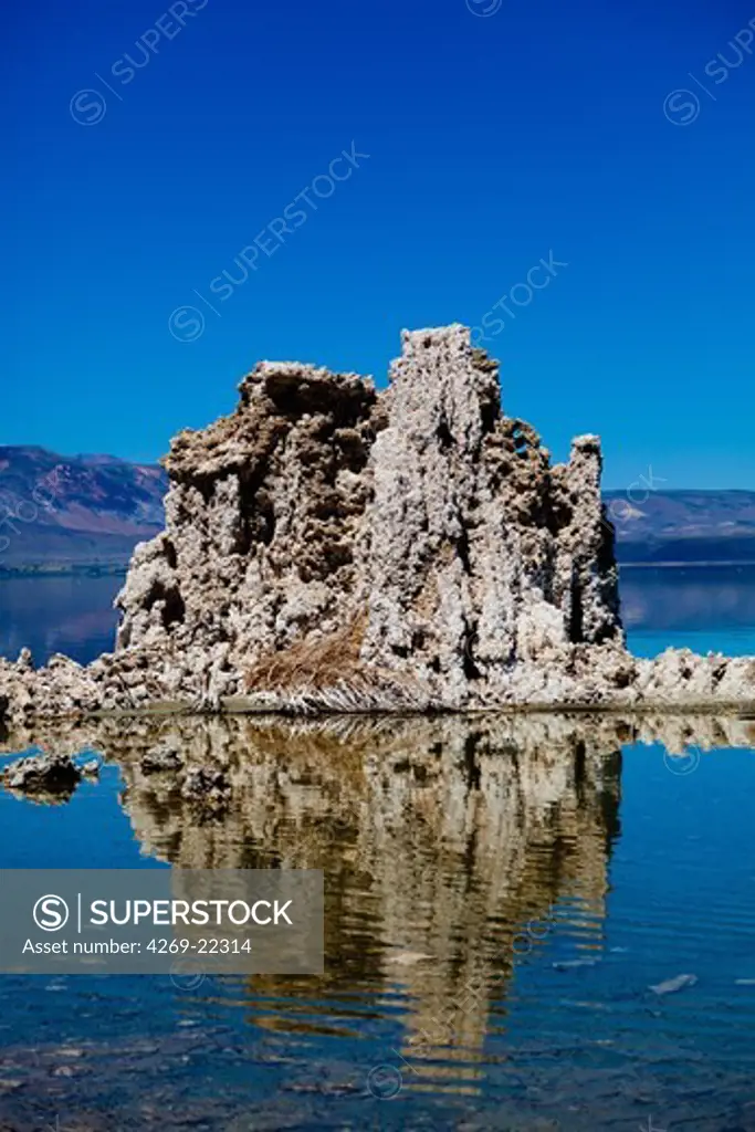 Mono Lake in California. It has a salt and arsenic high level. Sediment samples have revealed a bacteria strain GFAJ-1 which is characterized by its ability to replace the arsenic to phosphorus.