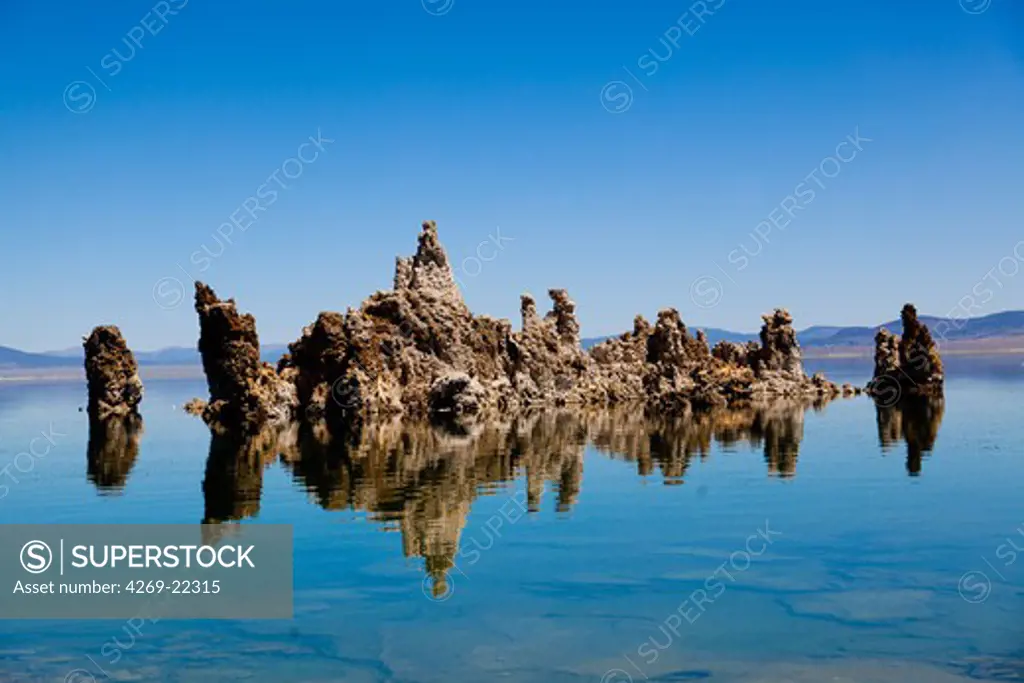 Mono Lake in California. It has a salt and arsenic high level. Sediment samples have revealed a bacteria strain GFAJ-1 which is characterized by its ability to replace the arsenic to phosphorus.