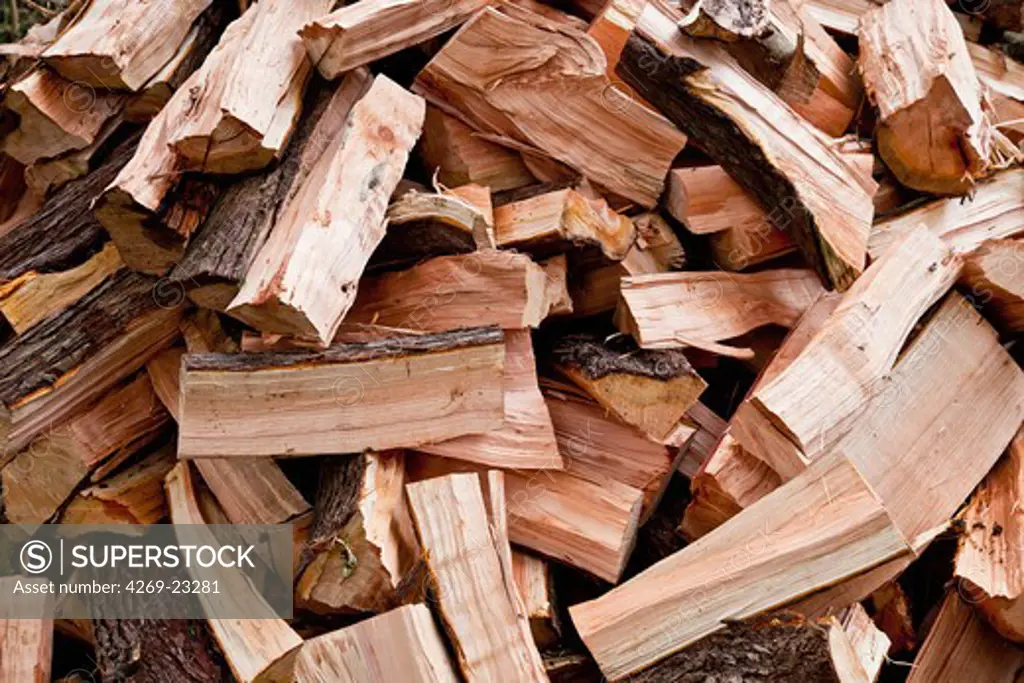 Wood pile of chopped logs for use as firewood.