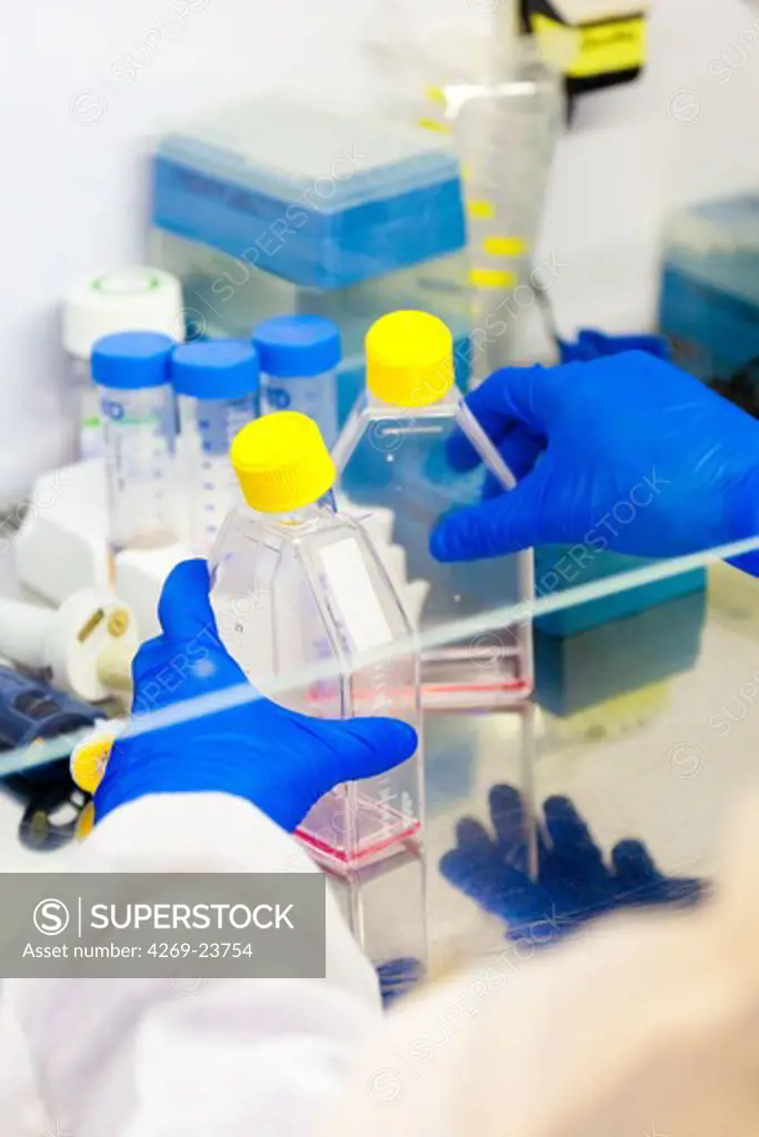Stem cells research laboratory.