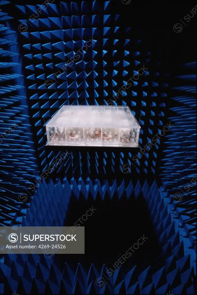 Electromagnetic ray. Measurement of the effect of radiation on rats in a anechoic chamber.