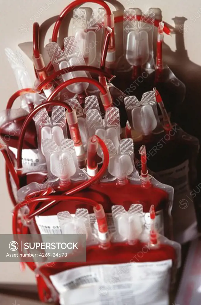 Blood transfusion. Blood bag