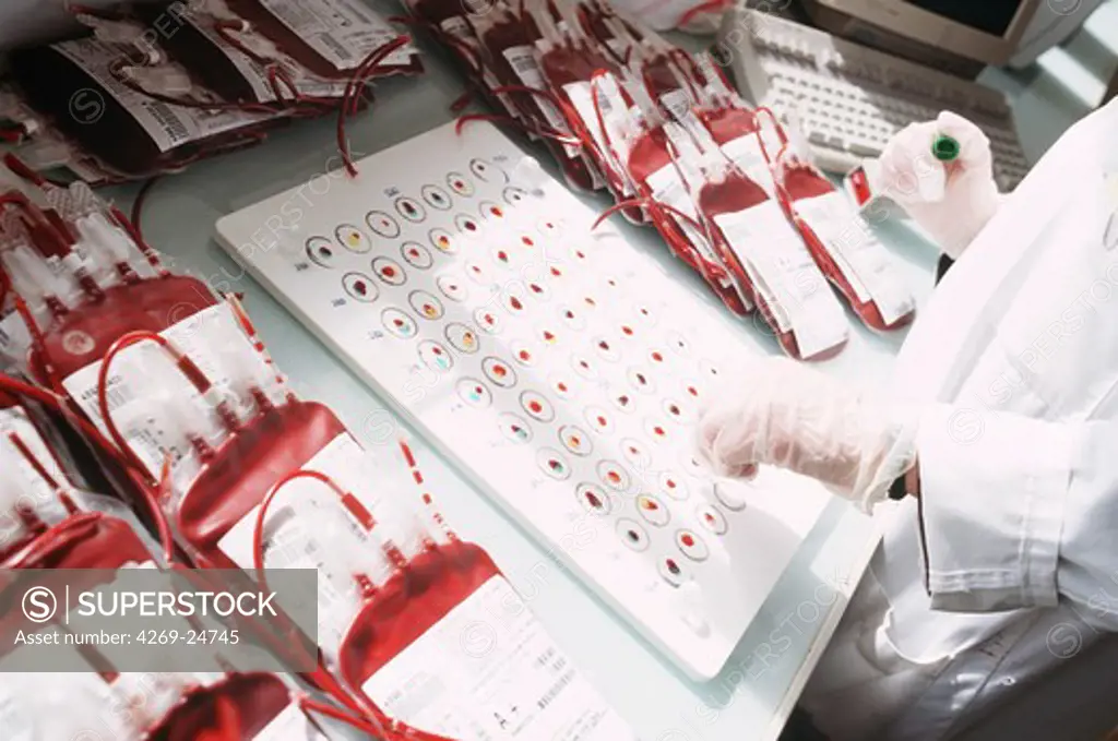 Blood group testing. Testing for blood group in a blood transfusion center.