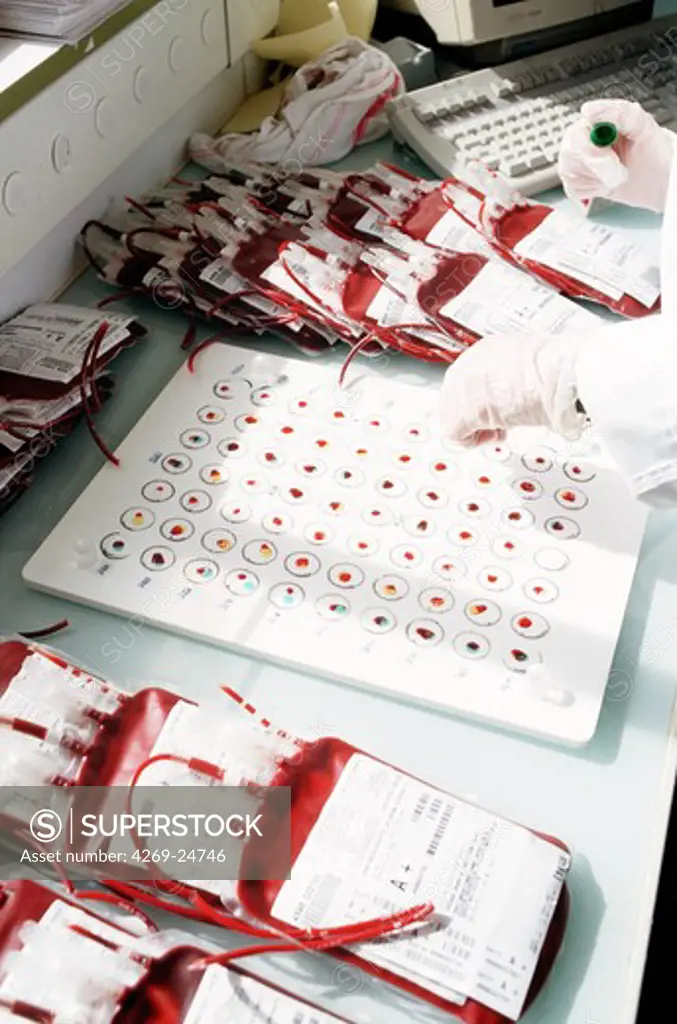 Blood type. Blood transfusion center Ultimate blood type verification