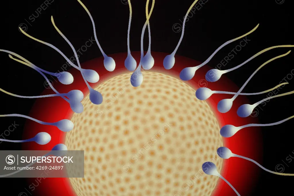 Fertilization. Ovule et spermatozoon;Sperms Computer-generated image