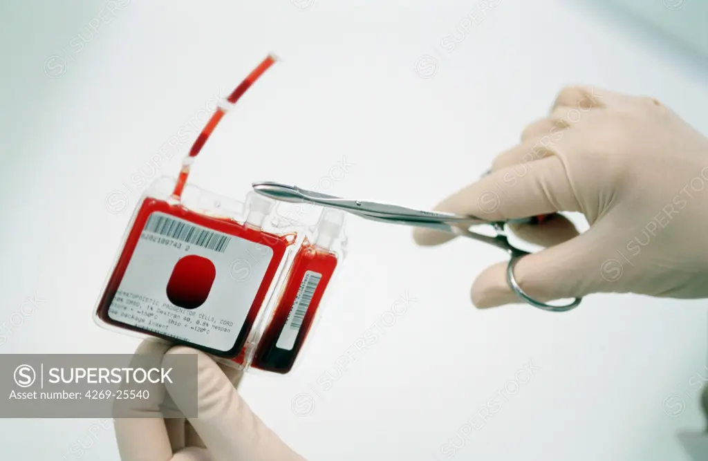 Umbilical cord blood. Cell therapy laboratory. The umbilical cord blood is riche in blood stem cells that create red cells, white cells and platelets. Once transplanted, these cells migrate to the bone marrow and create healthy blood cells (cell therapy).