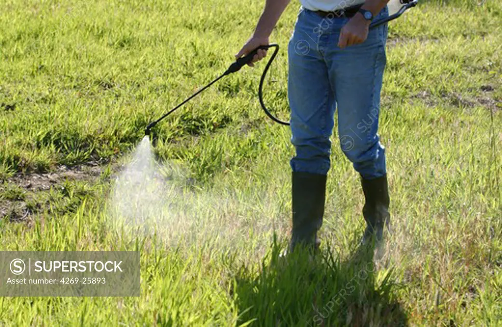 Gardening. Man spraying herbicide in a field.