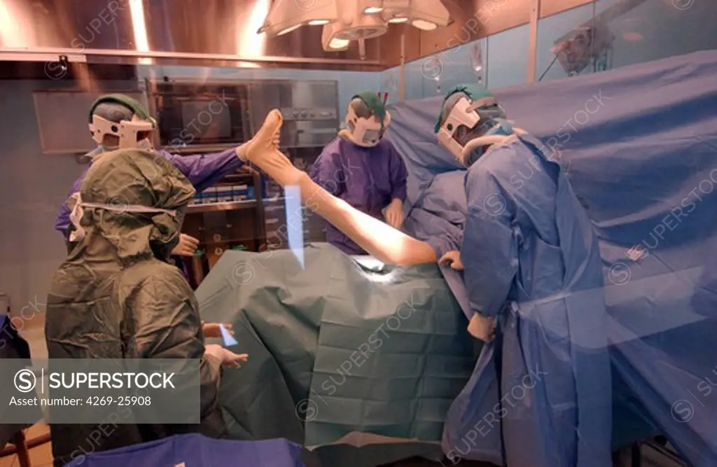 Orthopedic surgery. Orthopedic surgery under vertical laminar flow. The surgical team wears a sterile protective clothing while setting a hip prosthesis. The orthopedic surgery requires drastic hygiene measures because the bone's natural defenses againts infections are low, particularly when placing prosthesis.