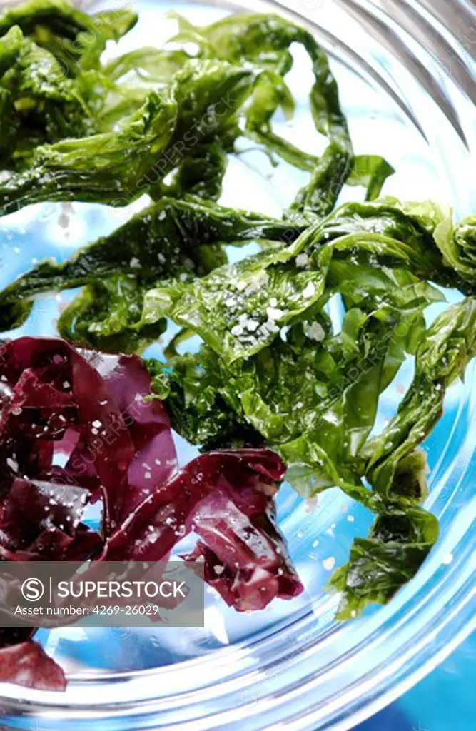 Edible seaweed. Found the the cool waters Western Europe and North América, the sea lettuce  (green seaweed, Ulva lactuca) and the dulce (red seaweed, Palmaria palmata) can be eaten raw or cooked.