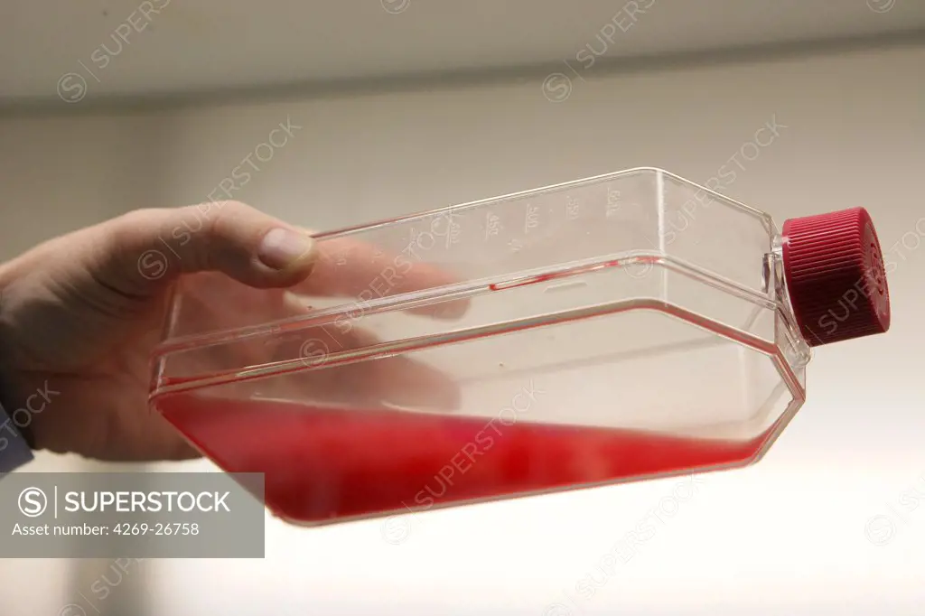 Red blood cells production. In vitro production of human mature and functional red blood cells from stem blood cells called CD34, Professor Luc Douay's research team, Saint Antoine Faculty of Medicine, Paris.