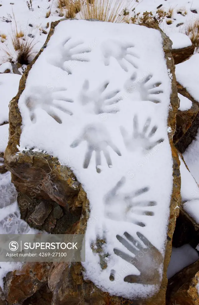 Snow. Handsprints in the snow.