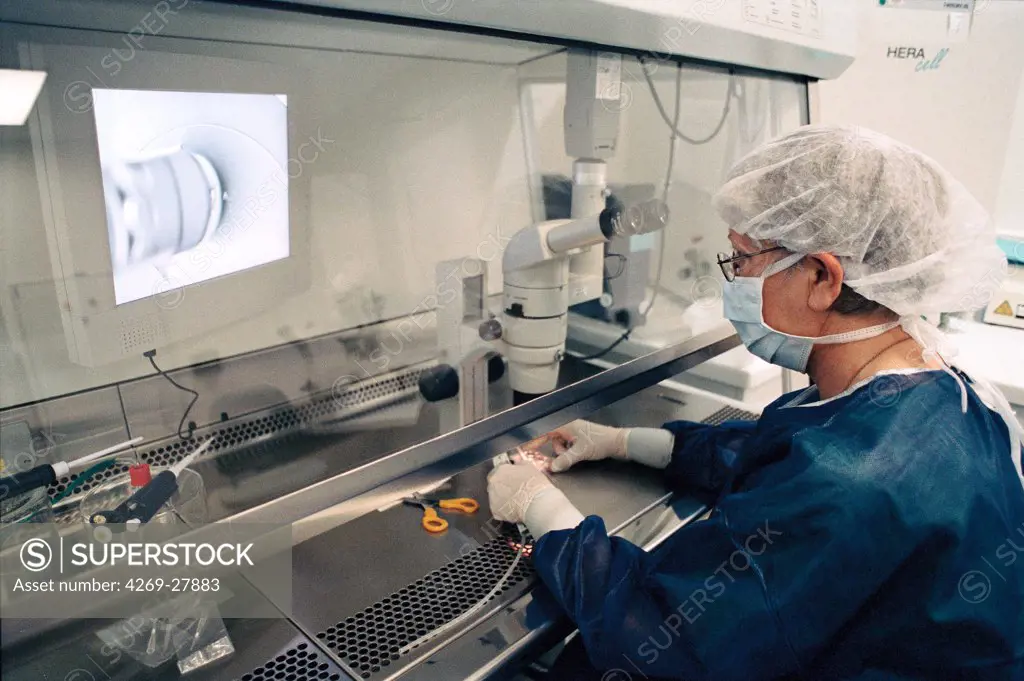 In Vitro Fertilization. Technician using a light microscope equiped with a camera to observe embryos in a high security laboratory. In Vitro Fertilization Laboratory, Cochin hospital, Paris, France.