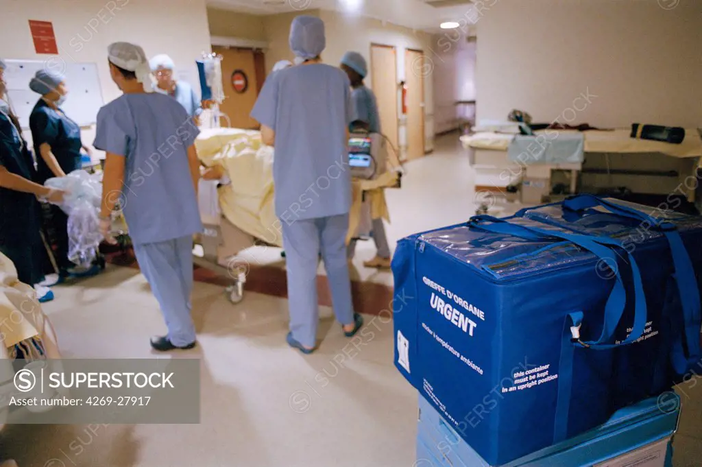 Organ transplantation. A donor is transfered to the operating bloc to proceed with organ retreival. At foreground, the container to send the transplant to the recipient. Beaujon hospital, Clichy, France.