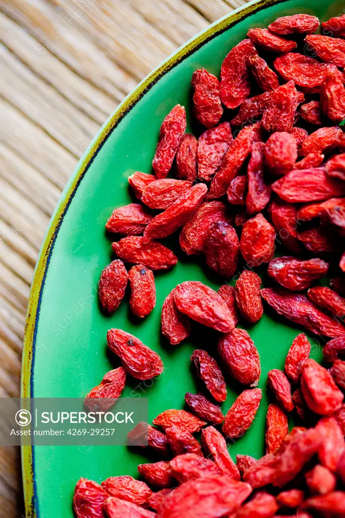 Wolfberry, commercially called goji berry, is produced by two species of boxthorn in the family Solanaceae : Lycium barbarum and L. chinense. Rich in antioxydants, the dry fruits are used in medicinal therapy.