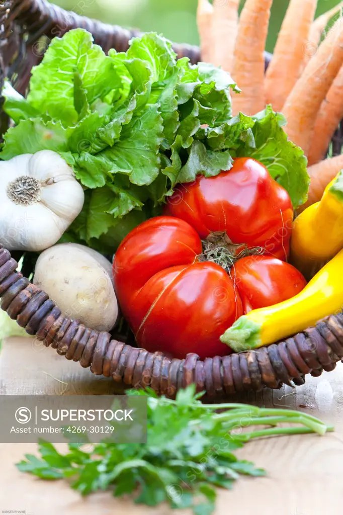 Food. Organic vegetables.