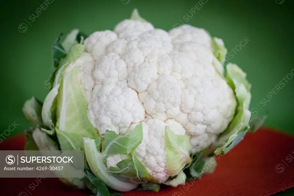 Cauliflower. Chou fleur.