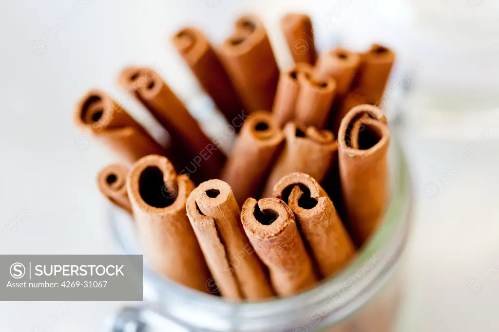 Cinnamon. Cinnamon sticks.