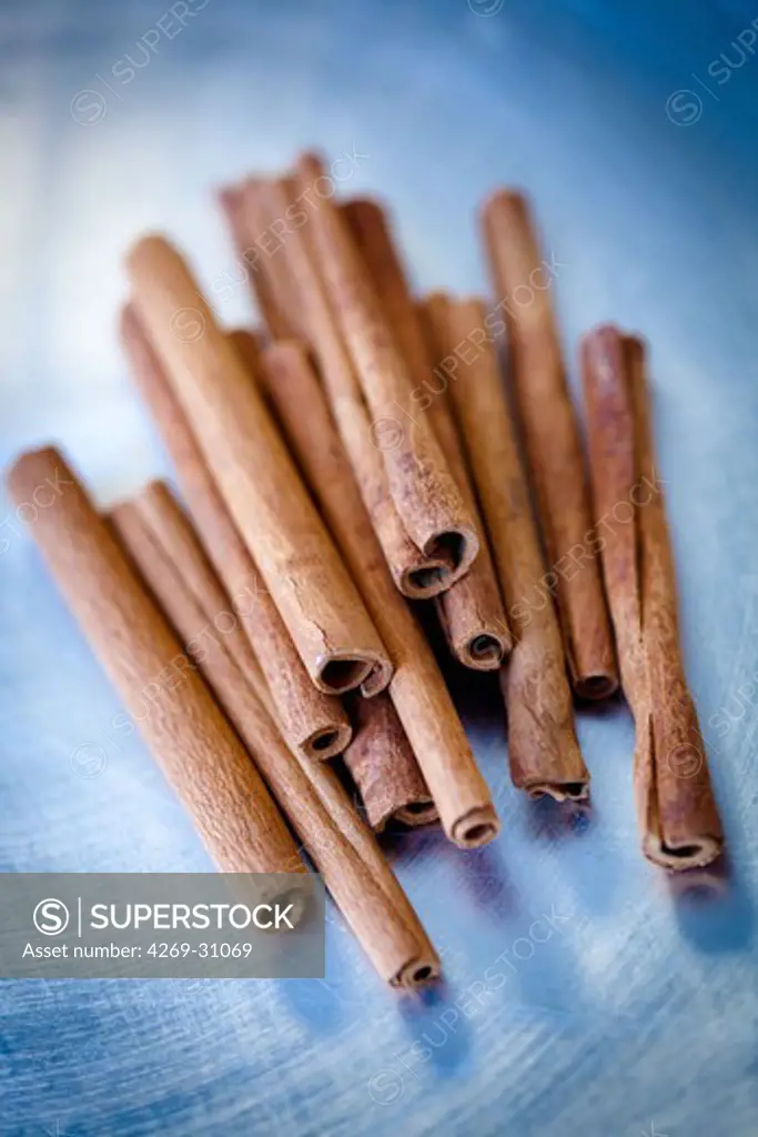Cinnamon. Cinnamon sticks.