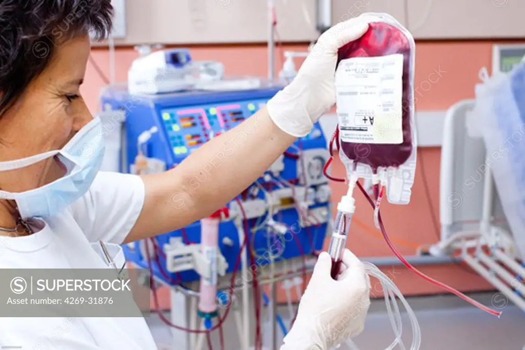 Blood transfusion of anemic patient during a hemodialysis session. Nurse according to the protocol control Transfusion. Limoges hospital, France.