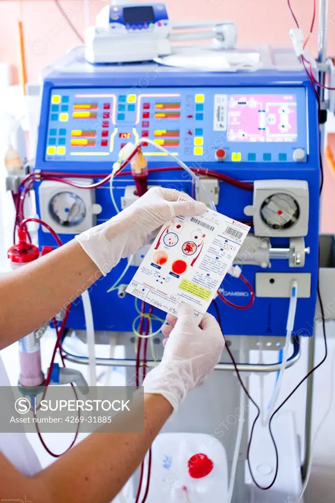 Patient hemodialysis, transfusion for anemia. Here, the card used for the UPTC Diagast (Ultimate Control Pre-transfusion) allows the nurse to check the compatibility of blood groups of donor and patient transfused. Limoges hospital, France.