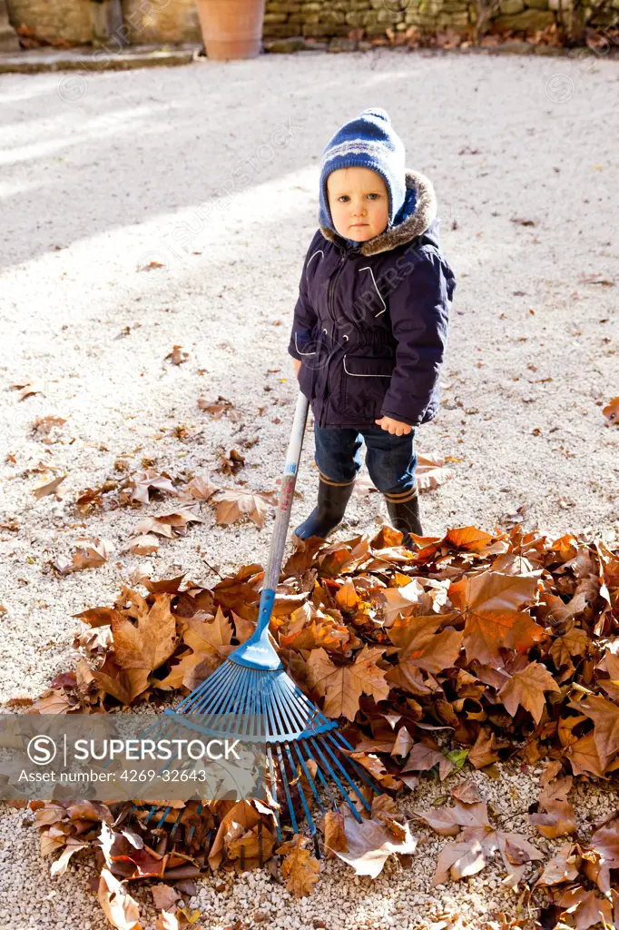 24 month old baby girl collecting leaves.
