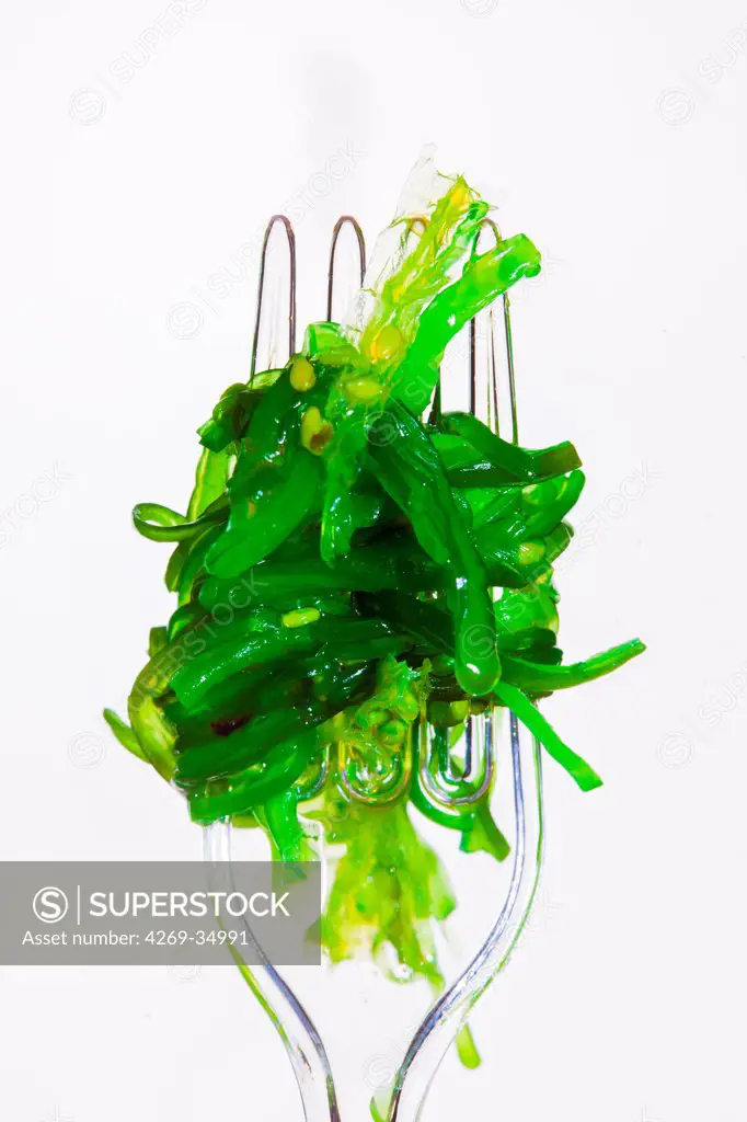 Edible seaweed wakame