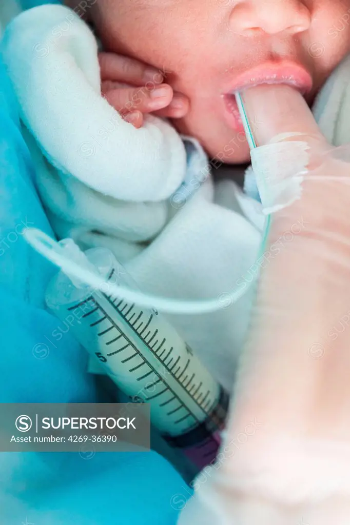 Pediatric nurse feeding a premature baby with milk