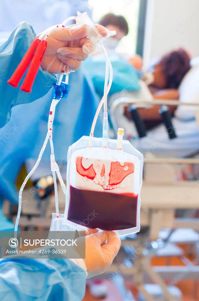 Umbilical cord blood for stem cell harvesting. Bag of placental blood. Obstetrics and gynaecology department, Limoges hospital, France.