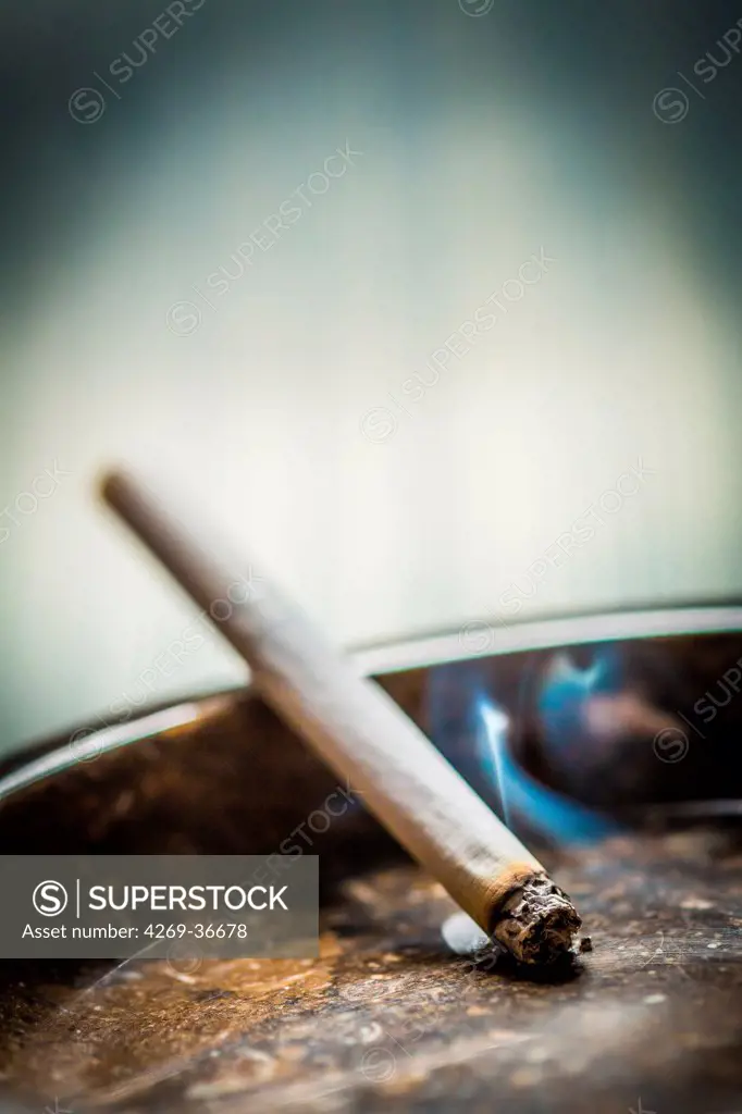Lit cigarette in an ashtray