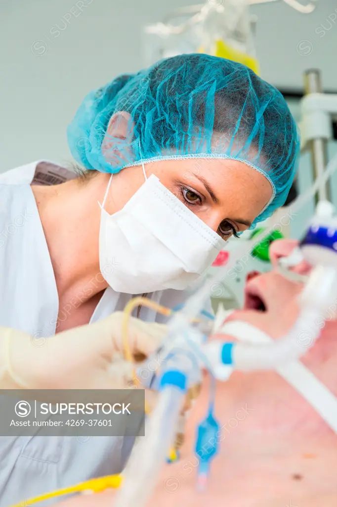 Nurse performing a treatment on a patient under respiratory assistance. Intensive care department. Lagny Marne-la-Vallée hospital, France.