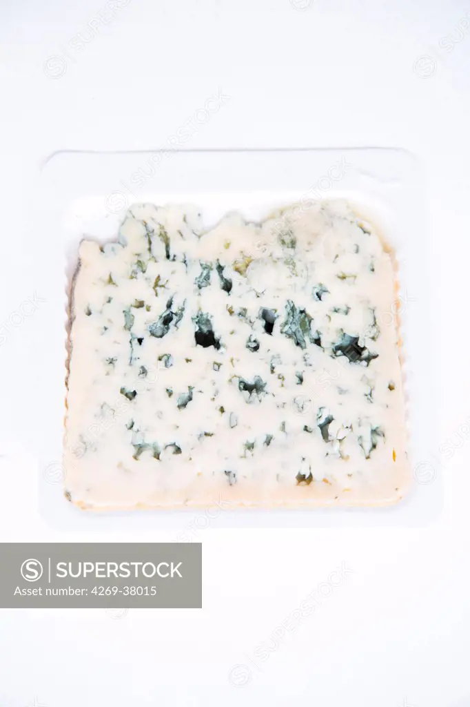 Bleu d'auvergne french cheese.