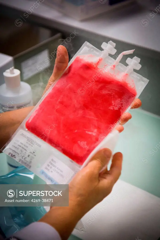 Hematopoietic stem cells frozen bag prior to preparation, Cell Therapy Unit, CTSA in Clamart, France.