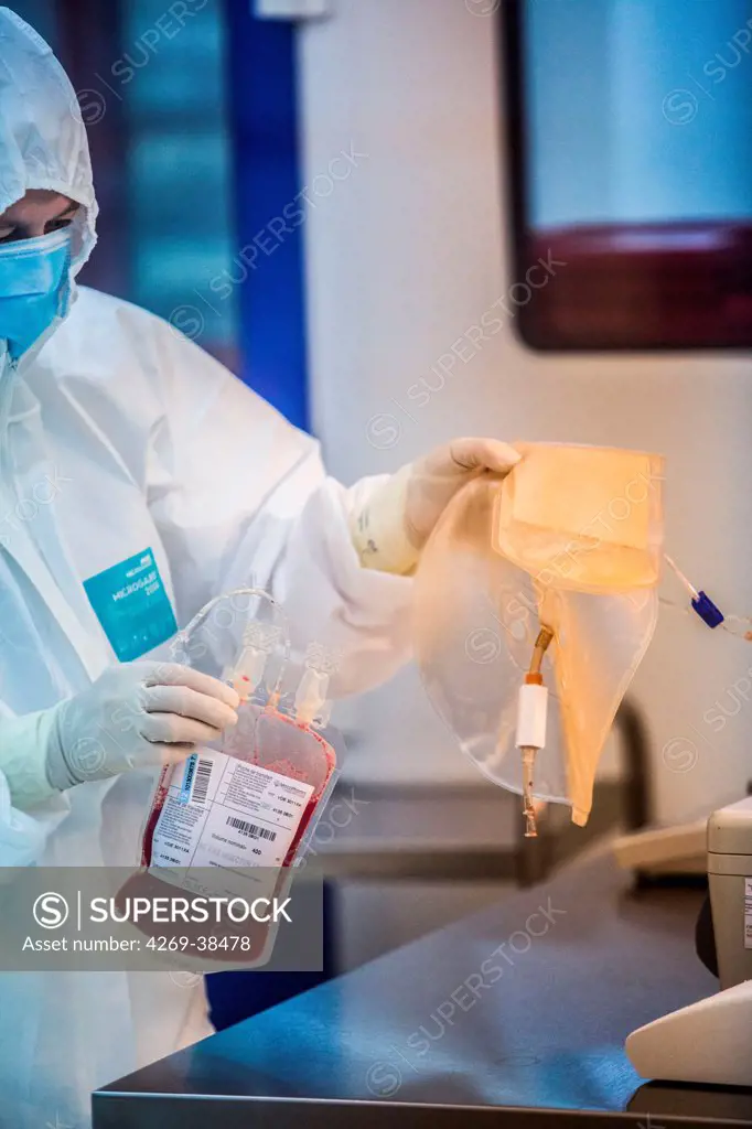 Technician preparing a hematopoietic stem cells bag , Cell Therapy Unit, CTSA in Clamart, France.