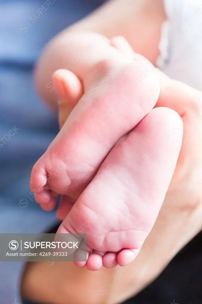 2 month old baby boy feet.