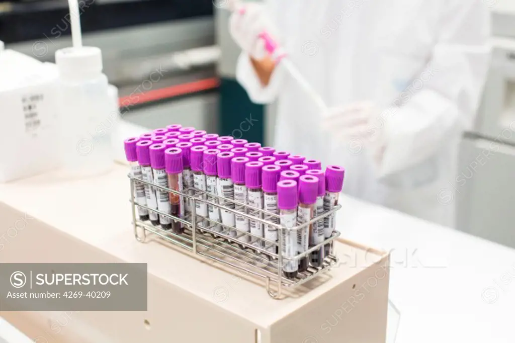 Blood samples in a medical laboratory.