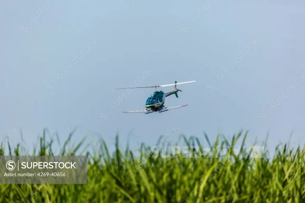 Helicopter applying fungicide or pesticide to a field, Crop spraying.