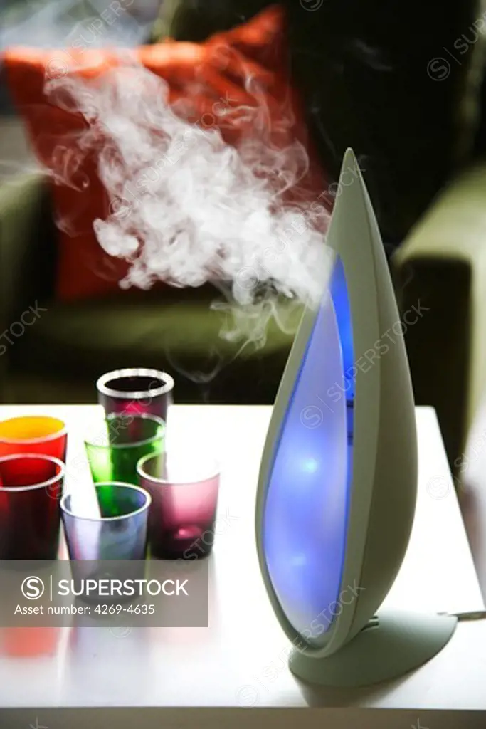 Air humidifier, ionizer and essential oil diffuser.