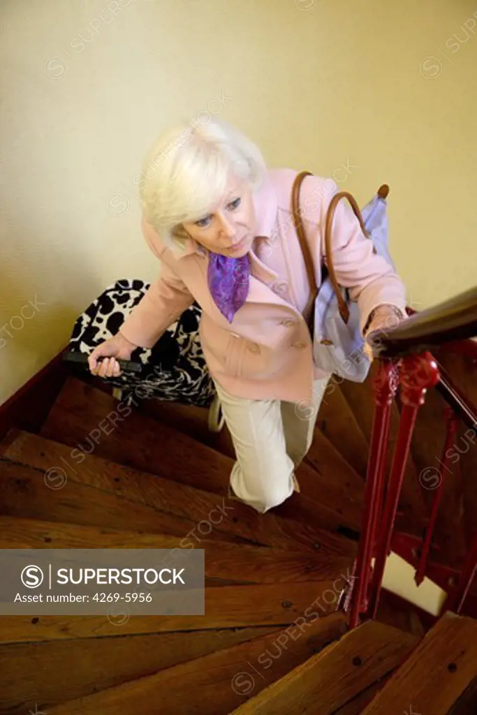 Elderly woman climbing up the stairs with shopping caddie.