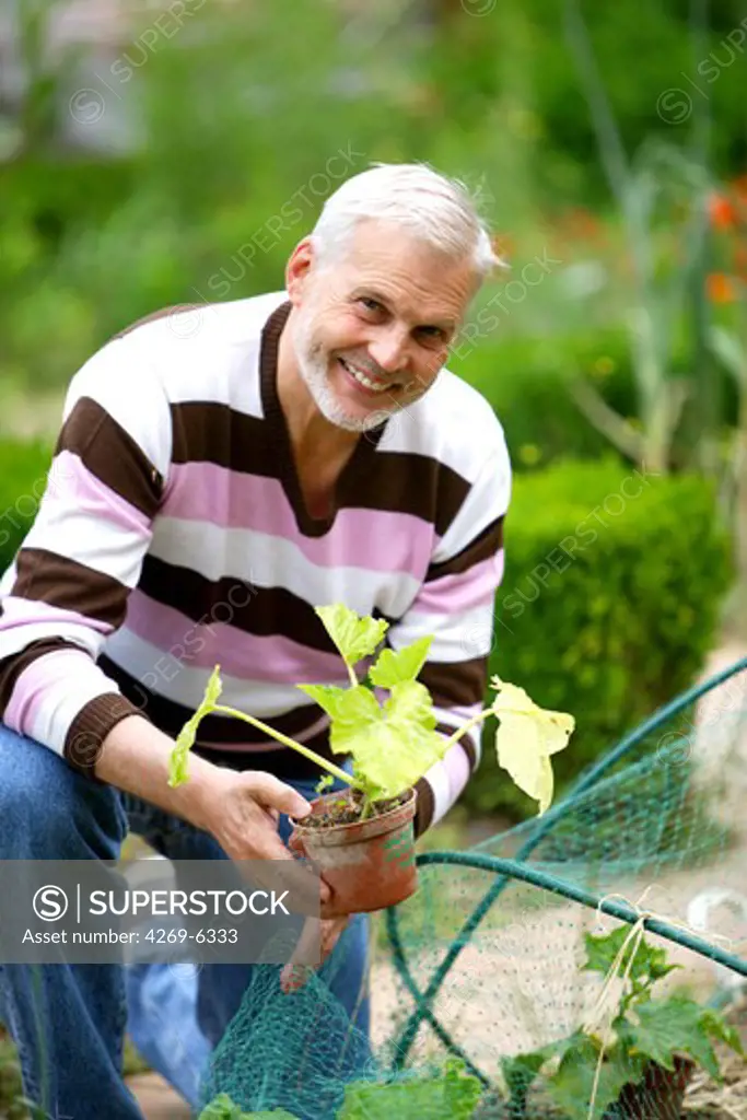 Senior man gardening.