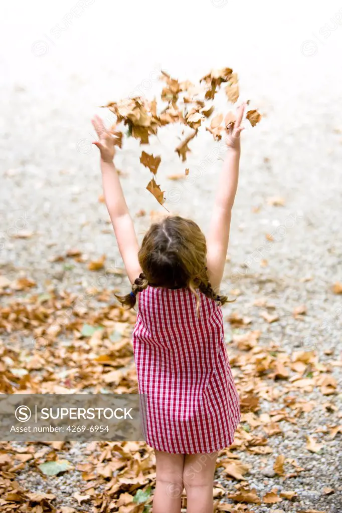 5 years old girl playing with dead leaves.