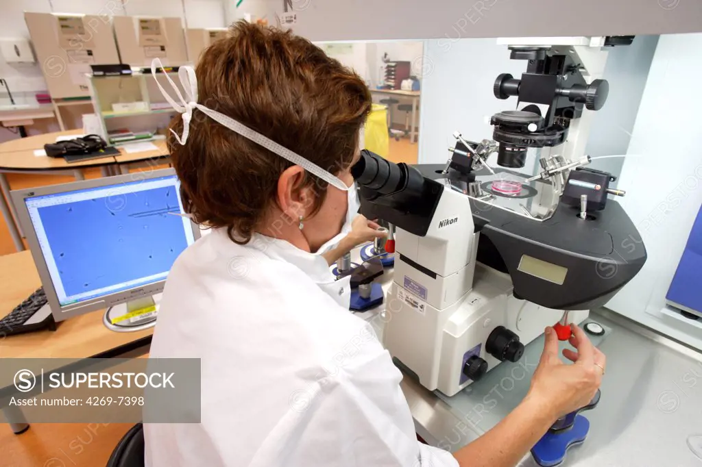 Technician using a light microscope to inject human sperm into a human egg cell (ovum) during in vitro fertilisation (IVF). This technique is known as intracytoplasmic sperm injection (ICSI). Medically Assisted Procreation Laboratory, Limoges hospital, France.