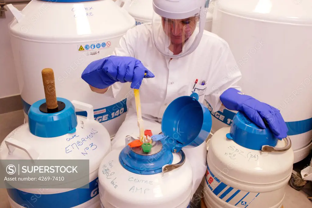 Cryopreservation of frozen sperm straws and embryos in liquid nitrogen. Medically Assisted Procreation Laboratory, Limoges hospital, France.