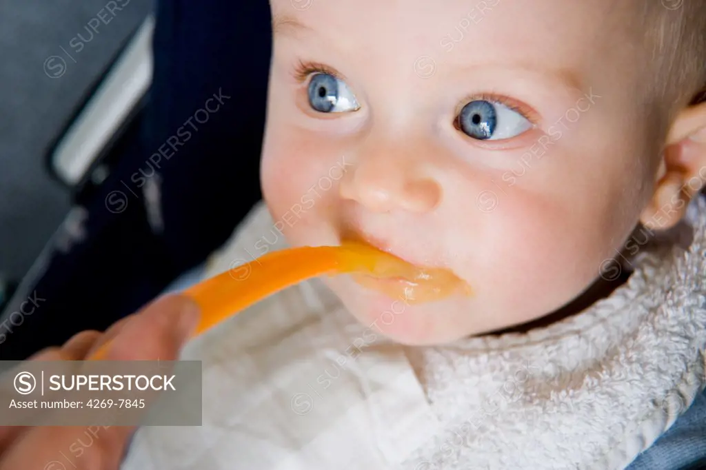 9 months old baby being fed with spoon.