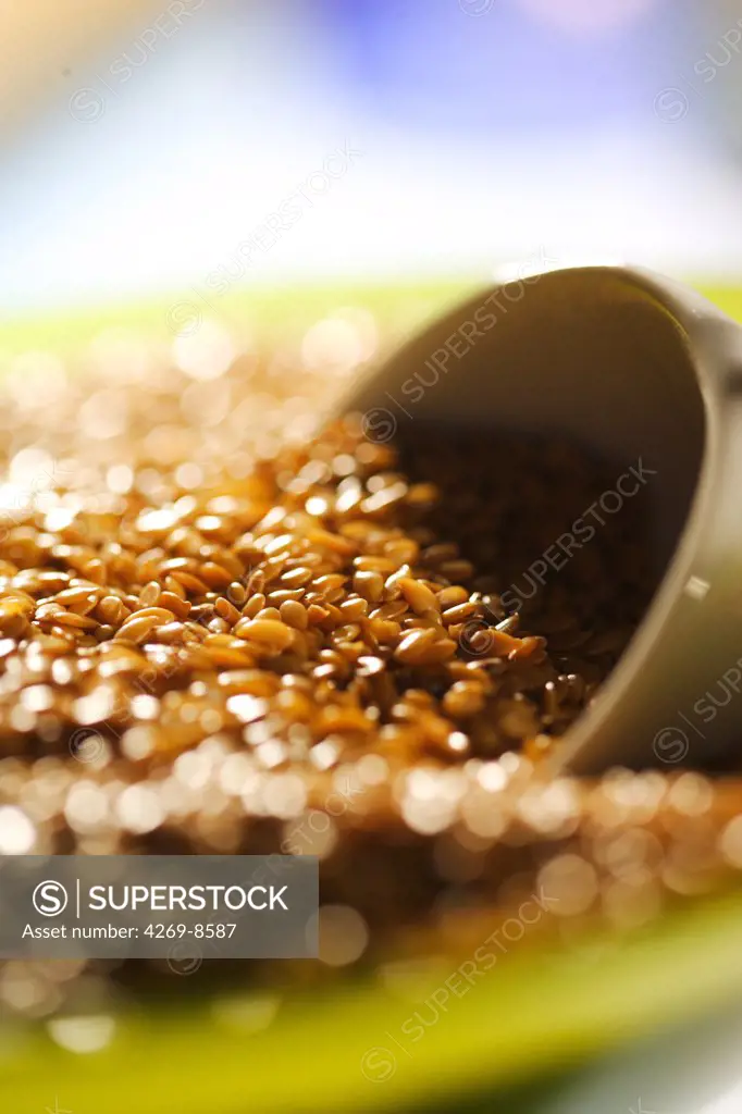 Golden flax seeds, rich in omega 3.