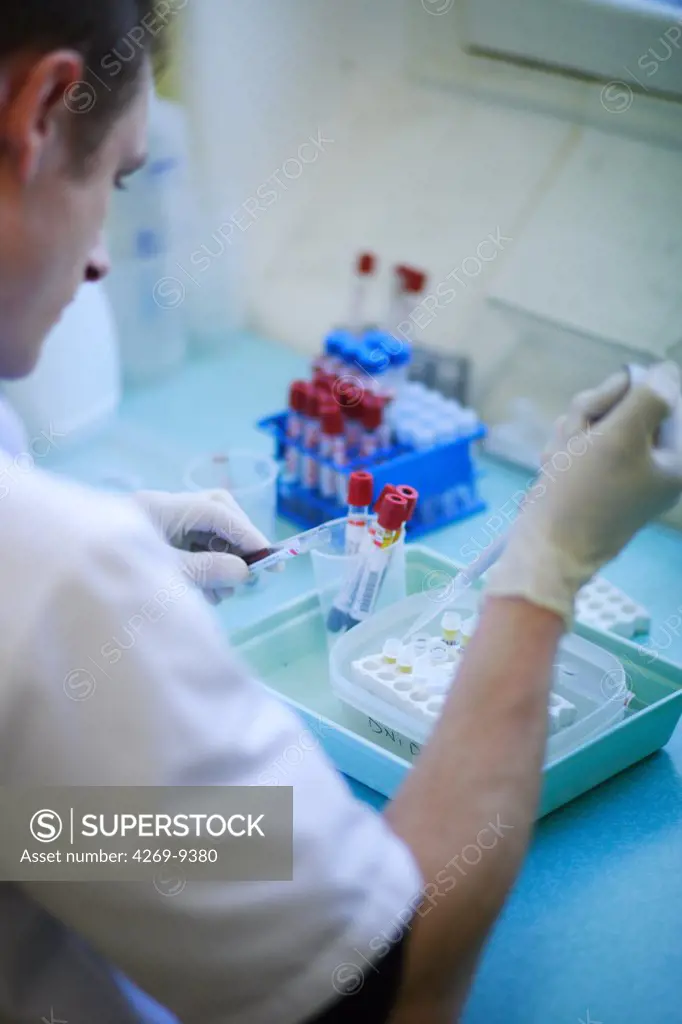 A technician is pipetting blood serum from obese person in eppendorf tubes for medical research. Departement of Nutrition of Pr Basdevant, endocrinology unit, Pitié-Salpêtrière hospital, Paris, France.