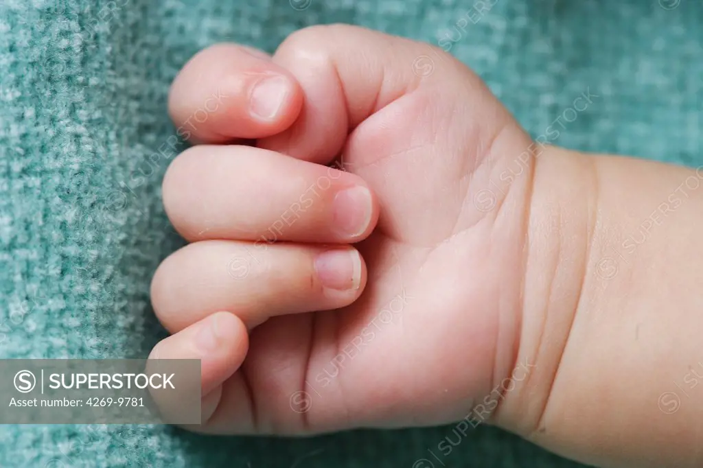 5 months old baby's hand.