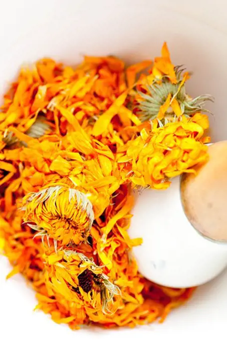 Marigold petals herb. Marigold petals herb (Calendula officinalis).
