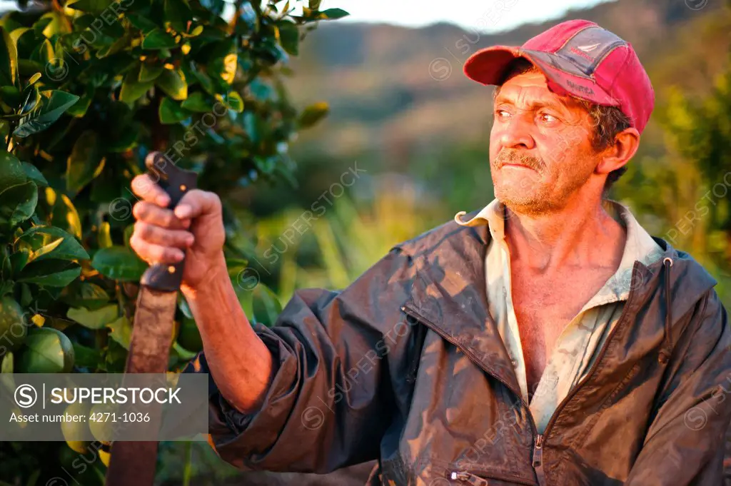 Nicaragua, Dipilto, Farmer collecting coffee in the mountainous Nueva Segovia